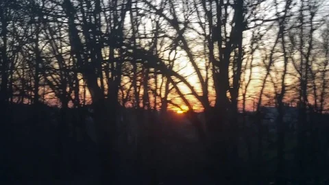 View of the sun in the evening with a row of trees moving on the foreground Stock Footage 77075030