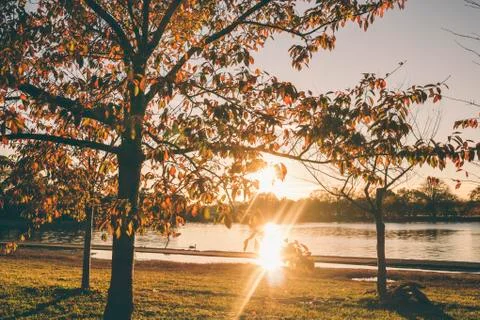 View of the sun setting with the Tidal Basin in Washington D.C. and fall foli Stock Photos