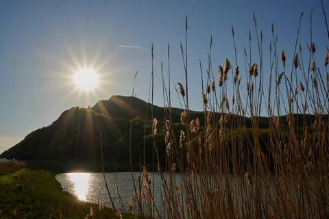 View of the sun shining through the mountain to the lake and dried flowers Stock Photos