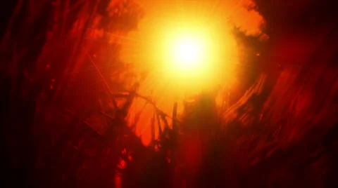 View of the sun through the grass 動画素材 6929906
