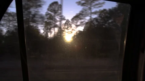 View of the Sun Through Trees from the Backseat Stockbeeldmateriaal 103619532