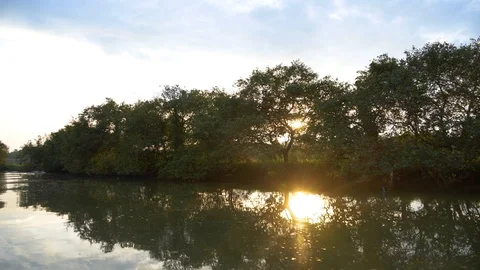 View of sun through trees on the bank of a river in India 動画素材 120836306