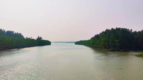 A View Of Sundarban Mangrove Forest Along Baleswar River In Bangladesh. Stock Footage 258654046