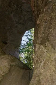 View of sunlight filtering through a rocky archway in a lush forest setting Stock Photos