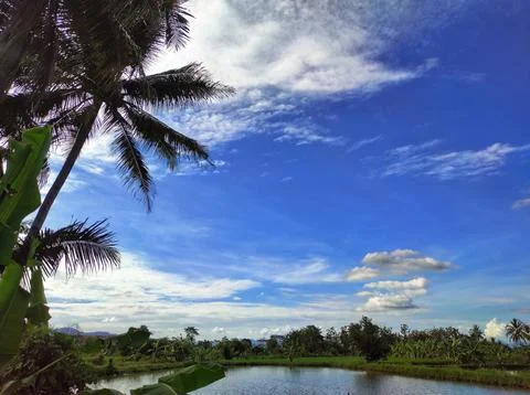 View sunny day Stock Photos