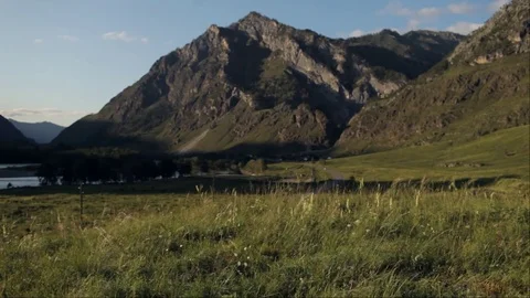 View of a sunny meadow in the mountains Stock Footage 81811168