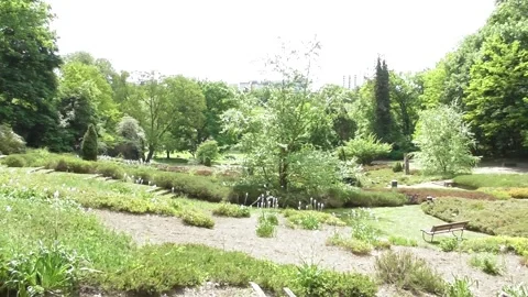 View of a sunny park in a quiet area with bees and birds Stockbeeldmateriaal 334570489