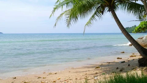 View to the sunny sandy beach. 動画素材 82150036