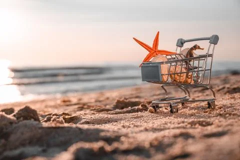 View Of Sunrise, In Foreground Basket With Shells, Seahorse And Star. Summer Is Stock Photos