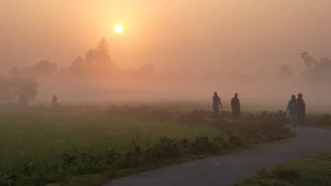 View of sunrise over rural fields with people walking in Bangladesh. Vídeos de archivo 335590053