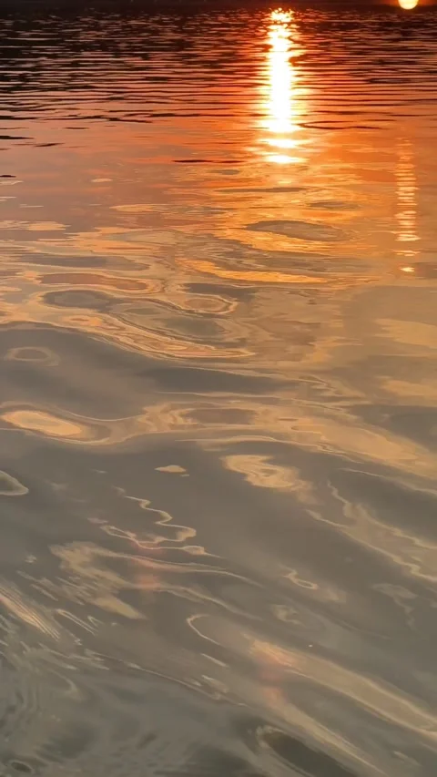 View of sunset above the lake Stock Footage 255593720