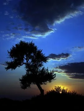 View of sunset and clouds that become lost in the sky Stock Photos