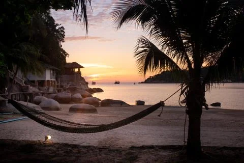 The view of sunset and swing Фото