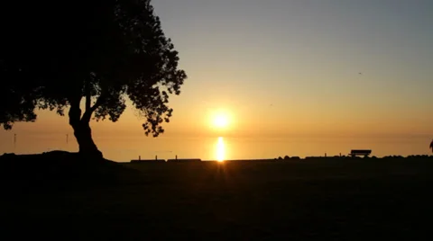 View of Sunset and trees on San Francisco East Bay Stock Footage 35168133