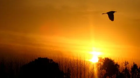 View of sunset during mist 스톡 사진