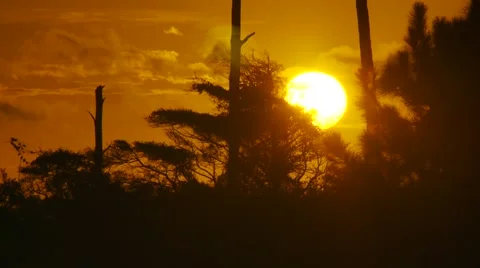 View of sunset Stock Footage 55571429
