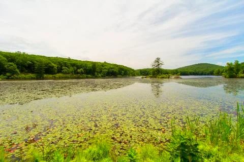 View of the sunset on the forest lake. Stock Photos