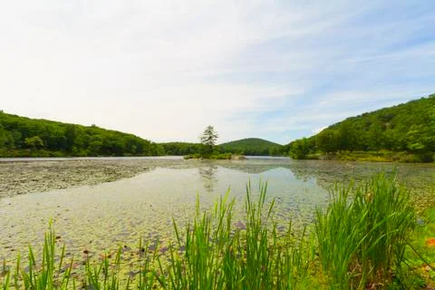 View of the sunset on the forest lake. Stock Photos