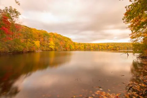 View of the sunset on the forest lake. Stock Photos