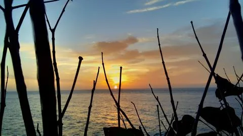 View of the sunset with the orange clouds and blue sky Stock Photos