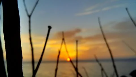 View of the sunset with the orange clouds and blue sky Stock Photos