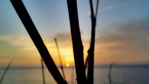 View of the sunset with the orange clouds and blue sky Stock Photos