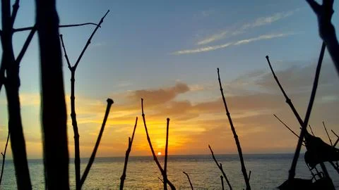 View of the sunset with the orange clouds and blue sky Stock Photos