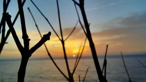 View of the sunset with the orange clouds and blue sky Stock Photos