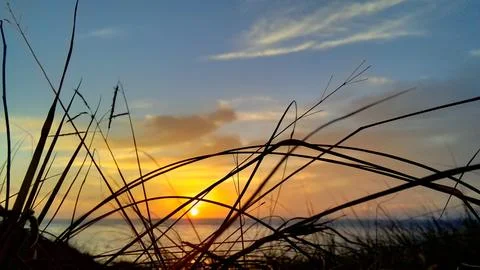 View of the sunset with the orange clouds and blue sky Stock Photos