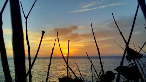 View of the sunset with the orange clouds and blue sky Stock Photos