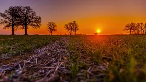 View of sunset over a field in, Latvia. 库存影片 340638142