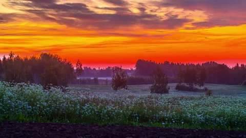 View of sunset over the fields in Riga, Latvia. Video stock 341454465