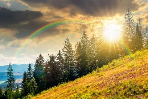 View of a sunset over hillside of mountain range with coniferous forest and.. Fotos Stock