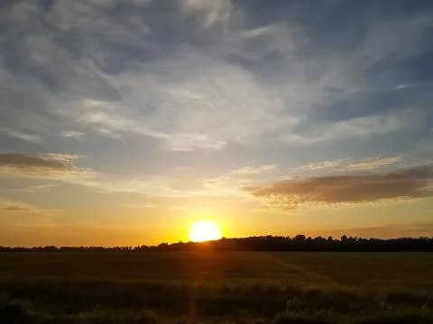 View of a sunset over plain with Angolan tropical plant field Stock Photos