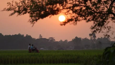 View of a sunset over rural fields with people on a bike, Bangladesh. Video stock 335553213