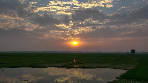 View of sunset over rural rice fields in Bogura, Bangladesh. Stockbeeldmateriaal 335766073