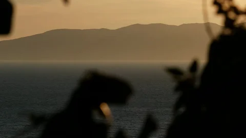 View of a sunset over the sea with reflections, scene moving through the branche Stock Footage 105225445