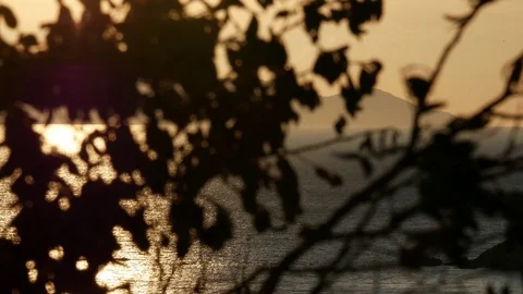 View of a sunset over the sea with reflections, scene moving through the branche Stock Footage 105225524