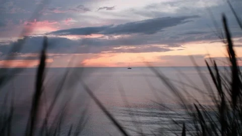 View of sunset over sea through blurry grass Stock Footage 158456973
