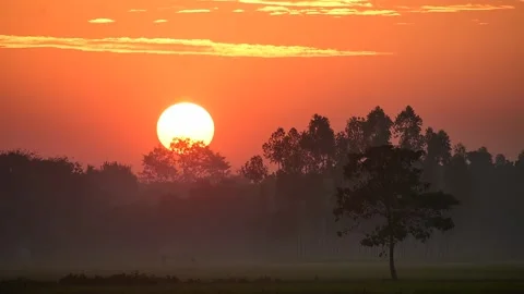 View of sunset over silhouetted trees and rural fields, Bangladesh. Video stock 335554552
