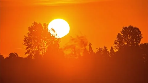 View of sunset over the silhouetted trees in Riga, Latvia. Stock Footage 341454532