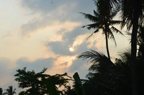View the sunset Stock Photos