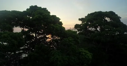 View of sunset on Puerto Jiménez Beaches In Costa Rica Stock Footage 57271967