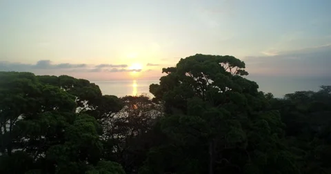 View of sunset on Puerto Jiménez Beaches In Costa Rica Stock Footage 57272948