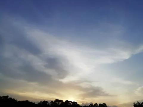 View of sunset sky over the dark plants Stock Photos