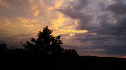 View of sunset with sky over dark plants Stock Photos
