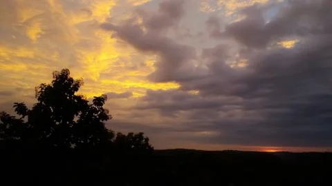 View of sunset sky over the dark plants Stock Photos