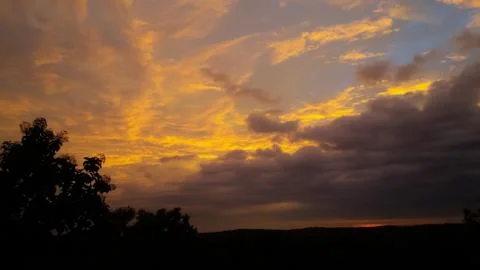 View of a sunset sky over dark plants Stock Photos