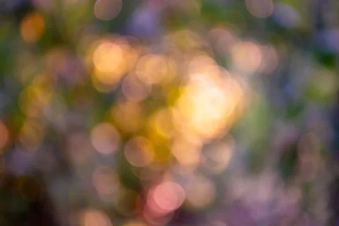 View of the sunset through the leaves in the form of bright bokeh. Stock Photos