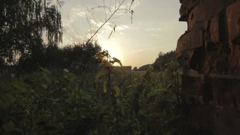 View on sunset from the window of abandoned building, countryside, Belarus Stock Footage 99481709